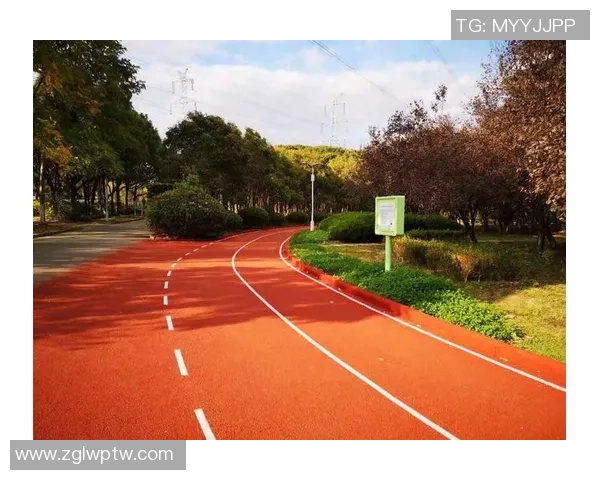 从全民健身到竞技突破探讨新时代体育运动全面高质量发展路径新篇